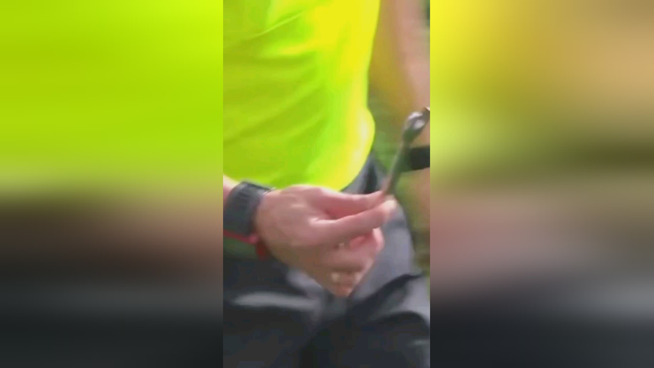 业生涯的深